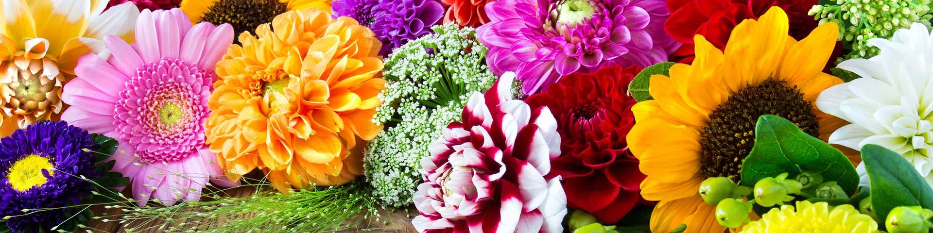 En farverig samling af forskellige blomster, herunder solhverv, dahliaer og krysantemummer, pryder et træbord. Blomsterne i nuancer af pink, orange, lilla og hvid skaber en livlig og festlig stemning. Grønne blade og stængler tilføjer et naturligt element til kompositionen.